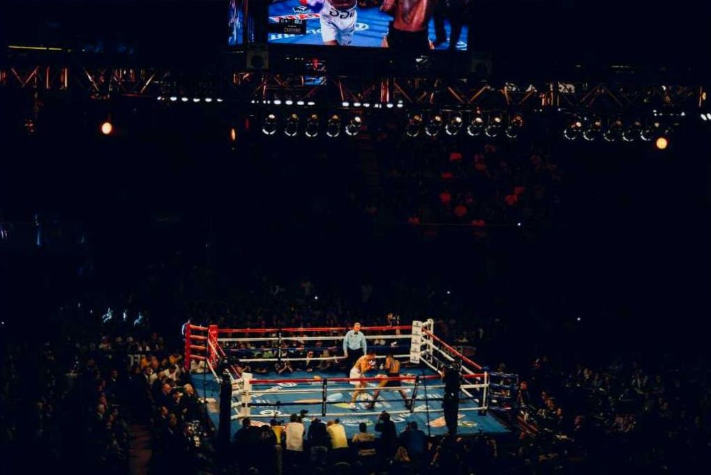 Boxhandschuhe Nahaufnahme